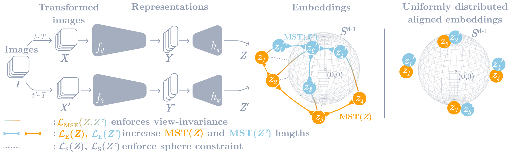 T-REGS paper preview